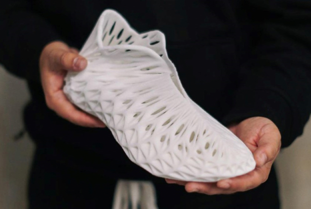 Illustrative example of 3d printed shoes