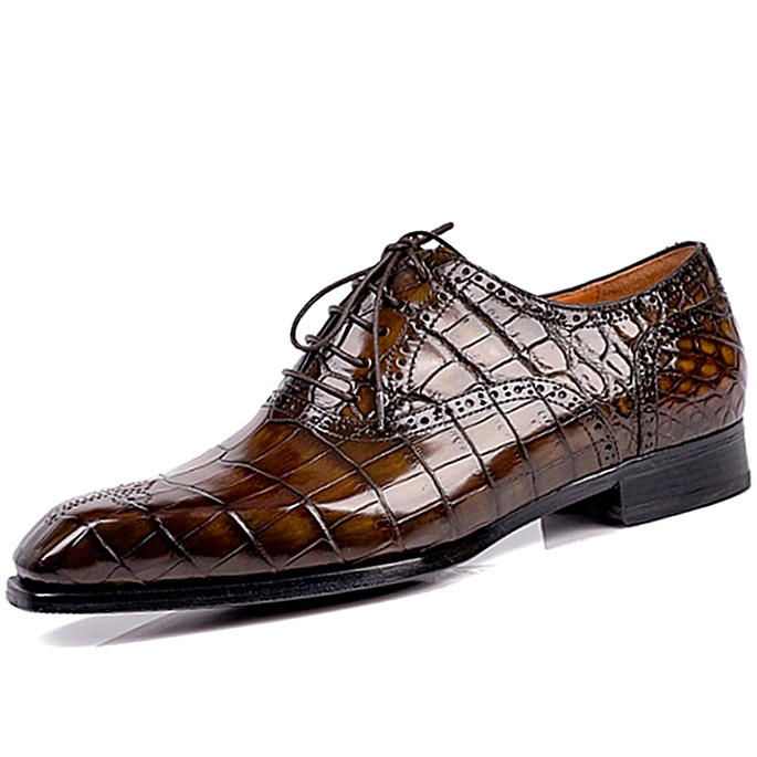 Illustrative example of alligator shoes