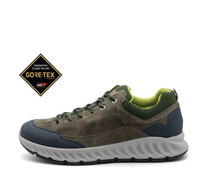 Illustrative example of ara shoes