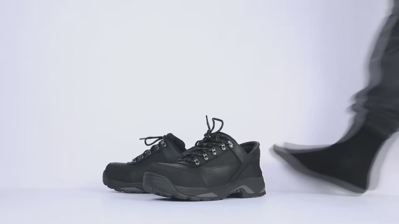 Illustrative example of black leather shoes