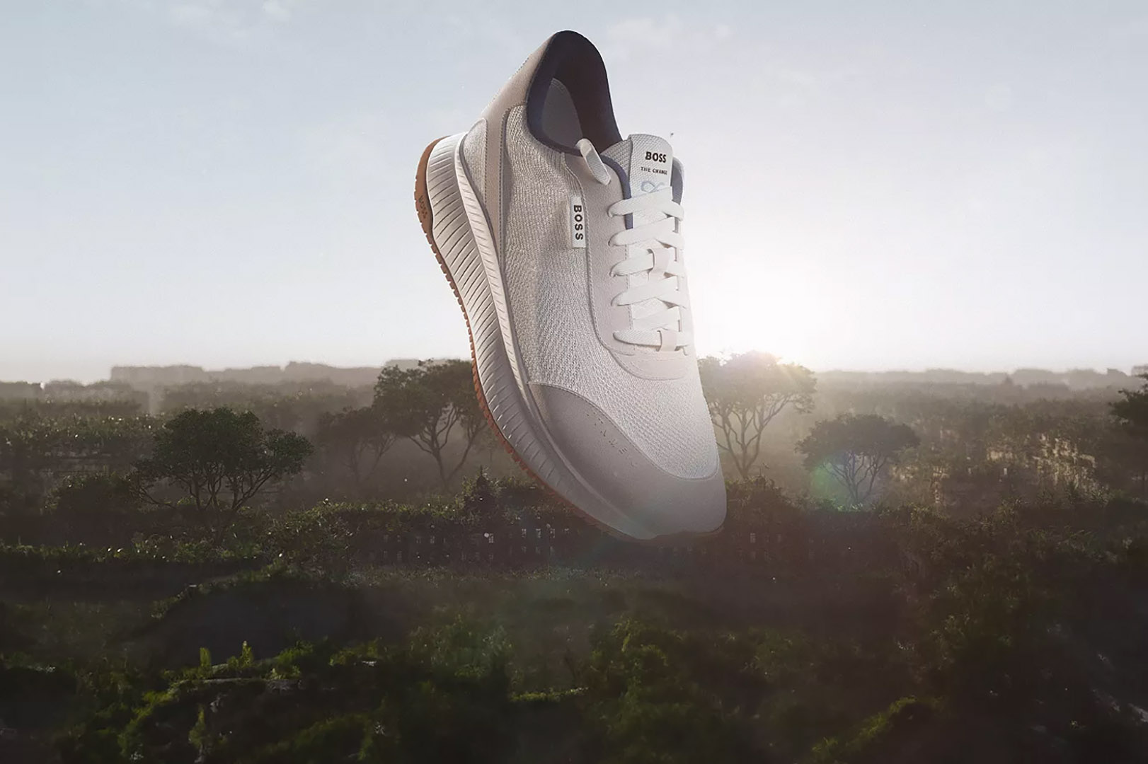Illustrative example of boss shoes