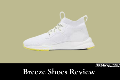 Illustrative example of breeze shoes review