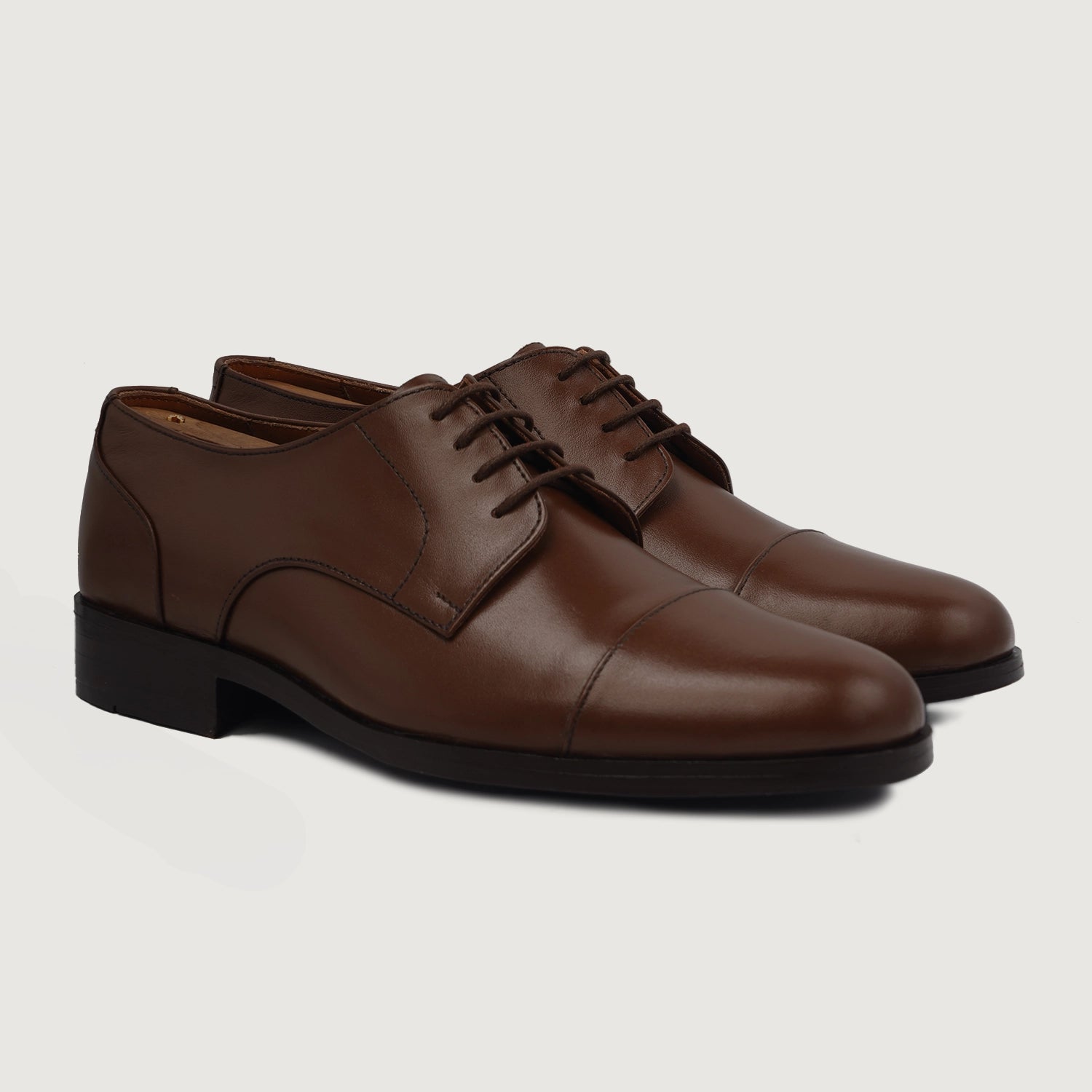 Illustrative example of brown leather shoes