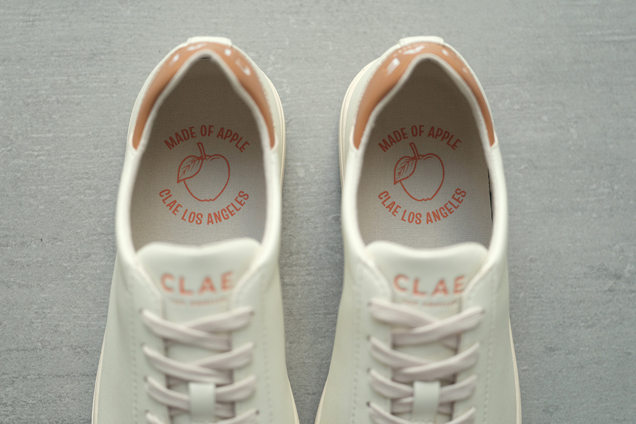 Illustrative example of clae shoes