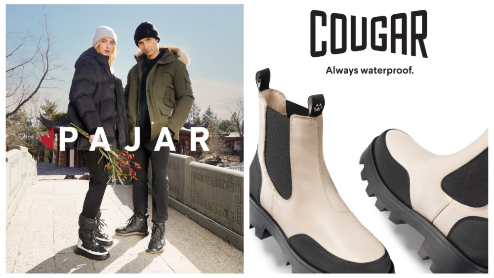Illustrative example of cougar shoes