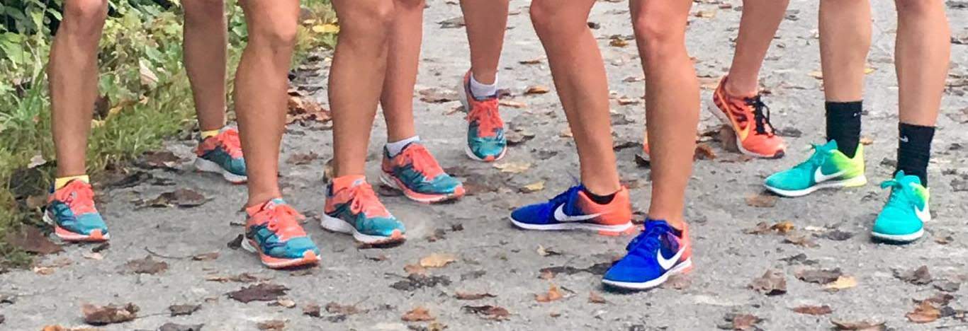 Illustrative example of cross country running shoes