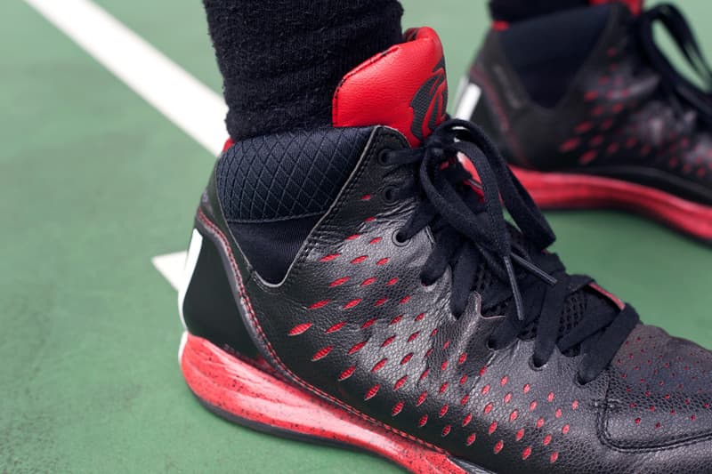 Illustrative example of d rose shoes