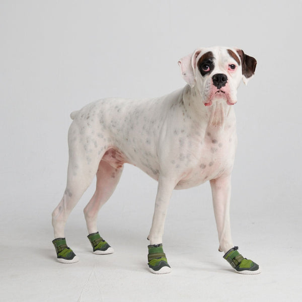 Illustrative example of dog shoes for hot pavement
