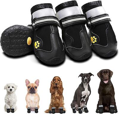 Illustrative example of dog shoes for hot pavement