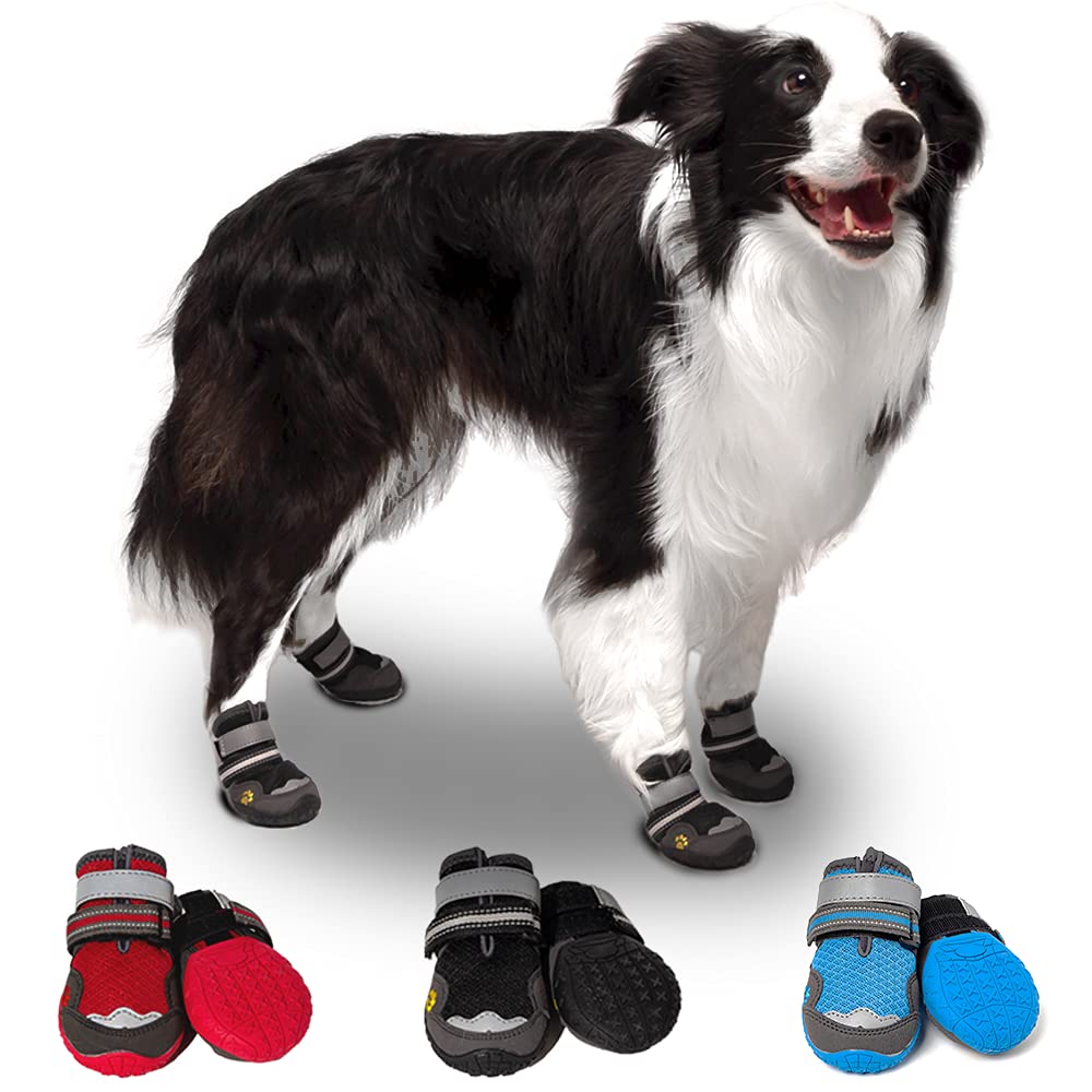 Illustrative example of dog shoes for hot pavement