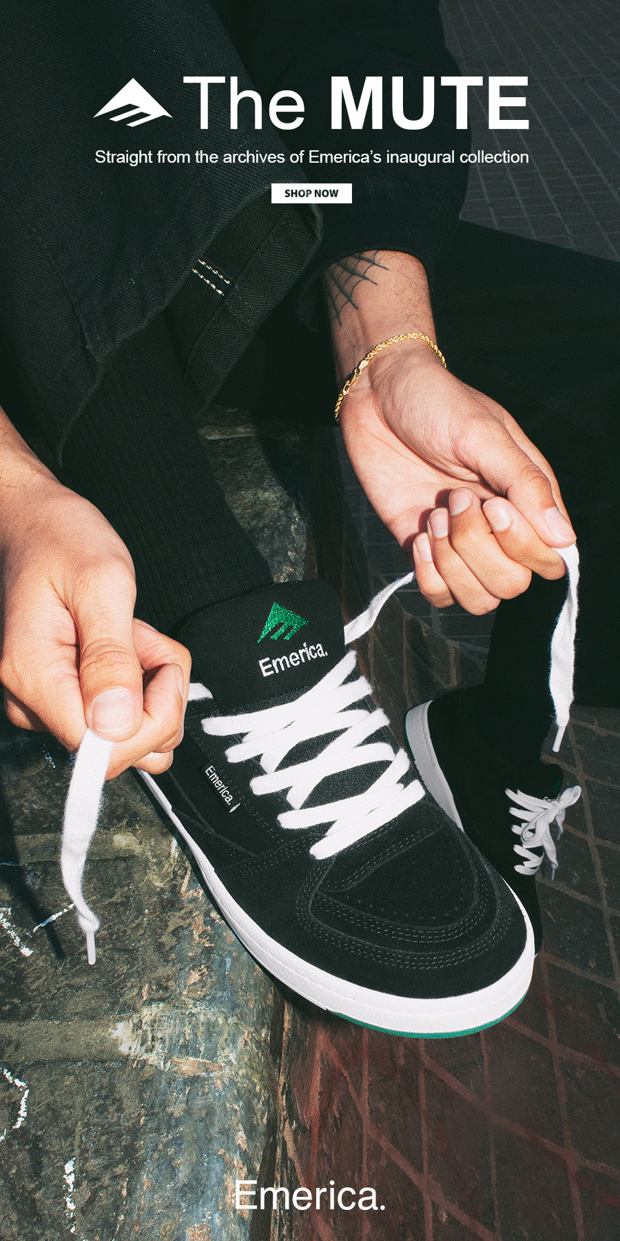 Illustrative example of emerica shoes