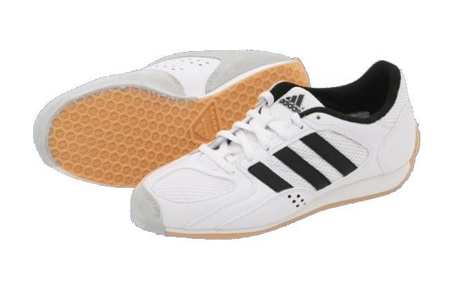 Illustrative example of fencing shoes