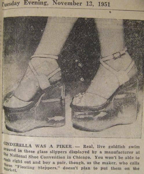 Illustrative example of fish shoes