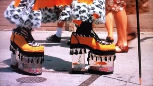 Illustrative example of fish shoes