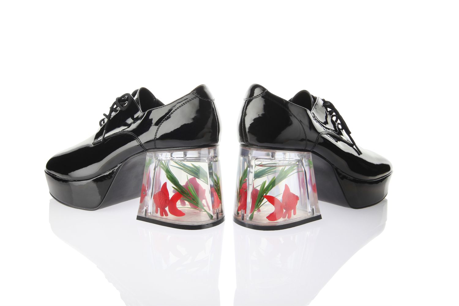 Illustrative example of fish shoes