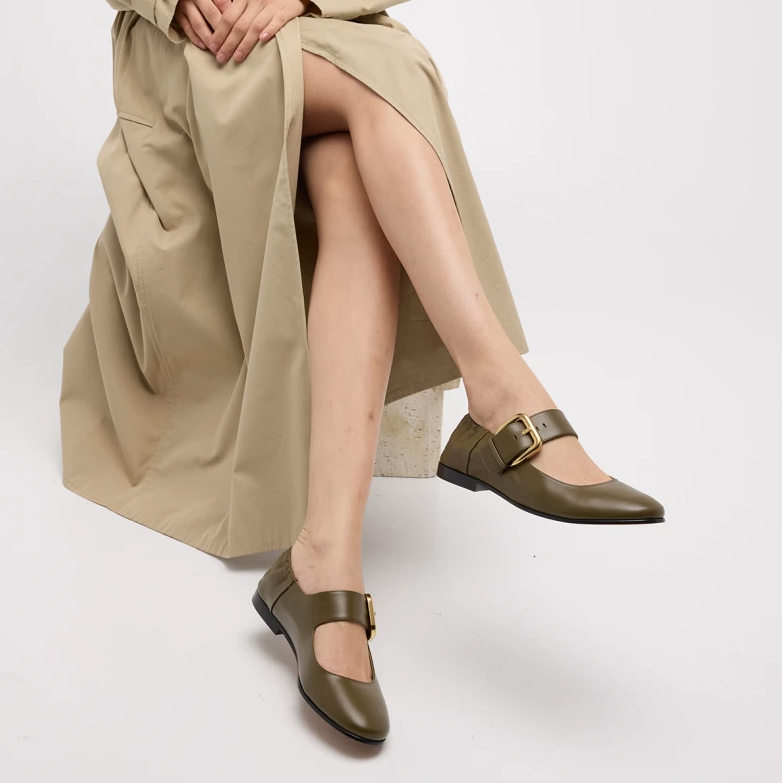 Illustrative example of flat mary jane shoes