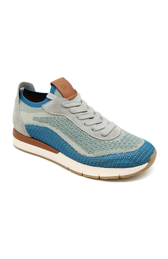 Illustrative example of gentle souls shoes