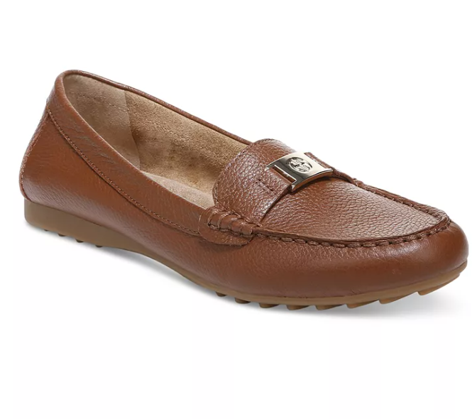 Illustrative example of giani bernini shoes