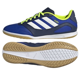 Illustrative example of indoor shoes