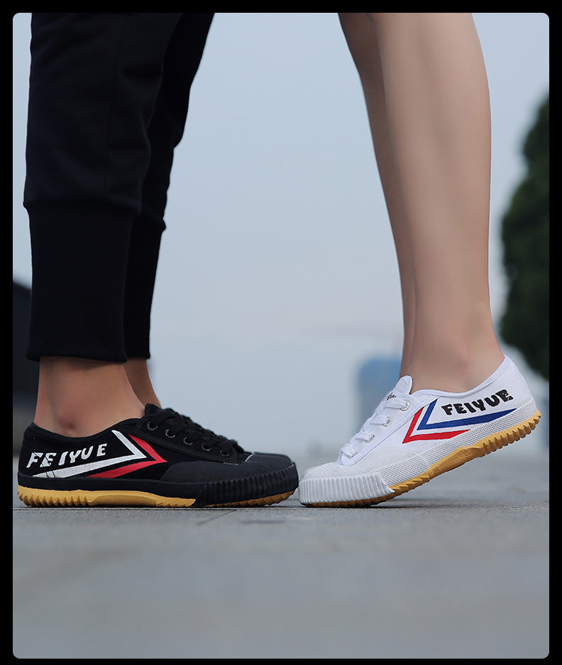 Illustrative example of kung fu shoes