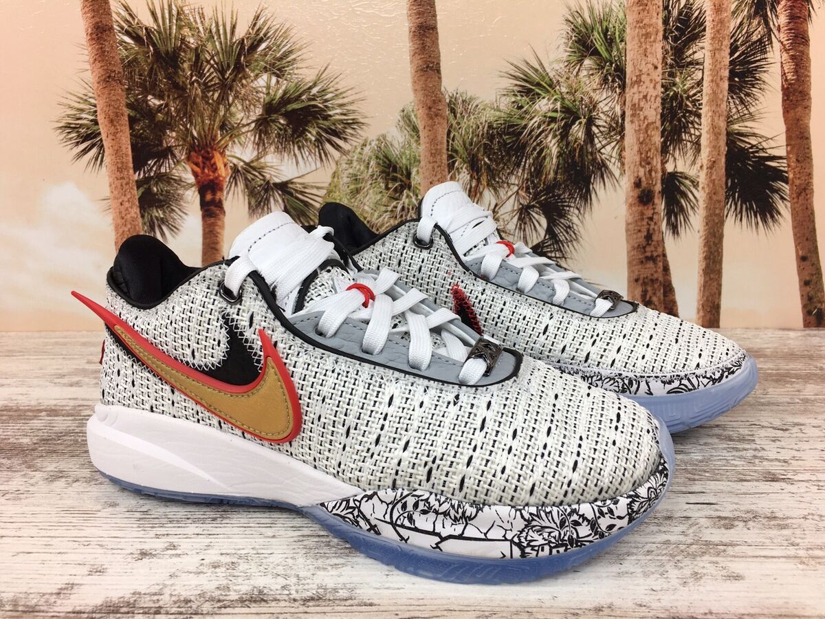 Illustrative example of lebron training shoes white