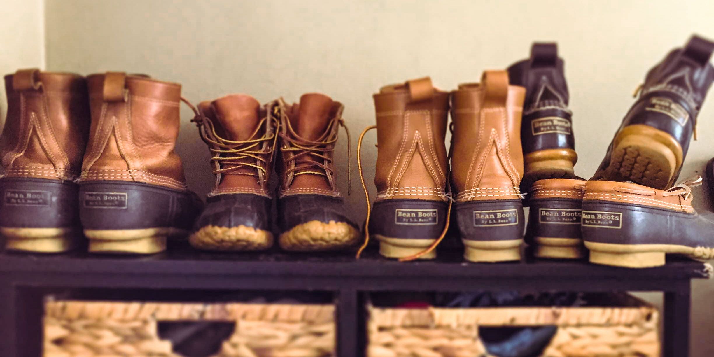 Illustrative example of ll bean shoes