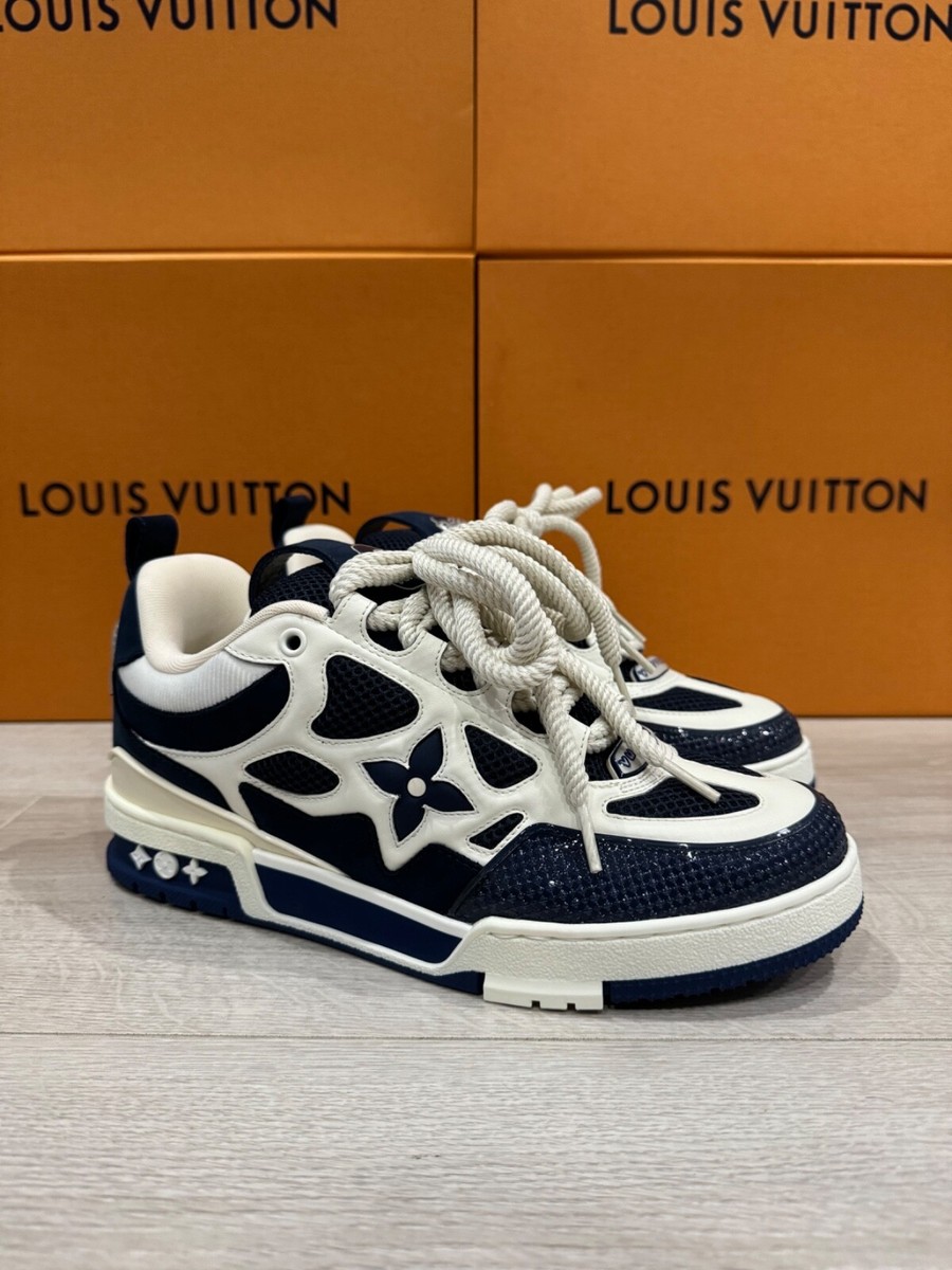 Illustrative example of lv skate shoes