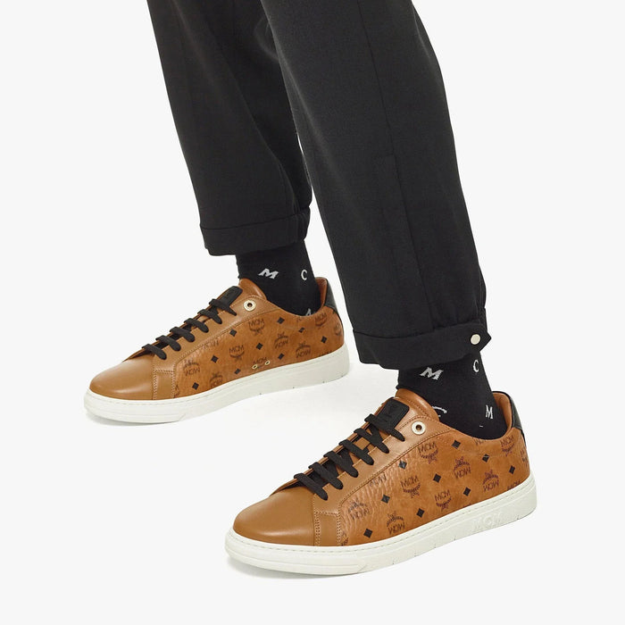 Illustrative example of mcm shoes