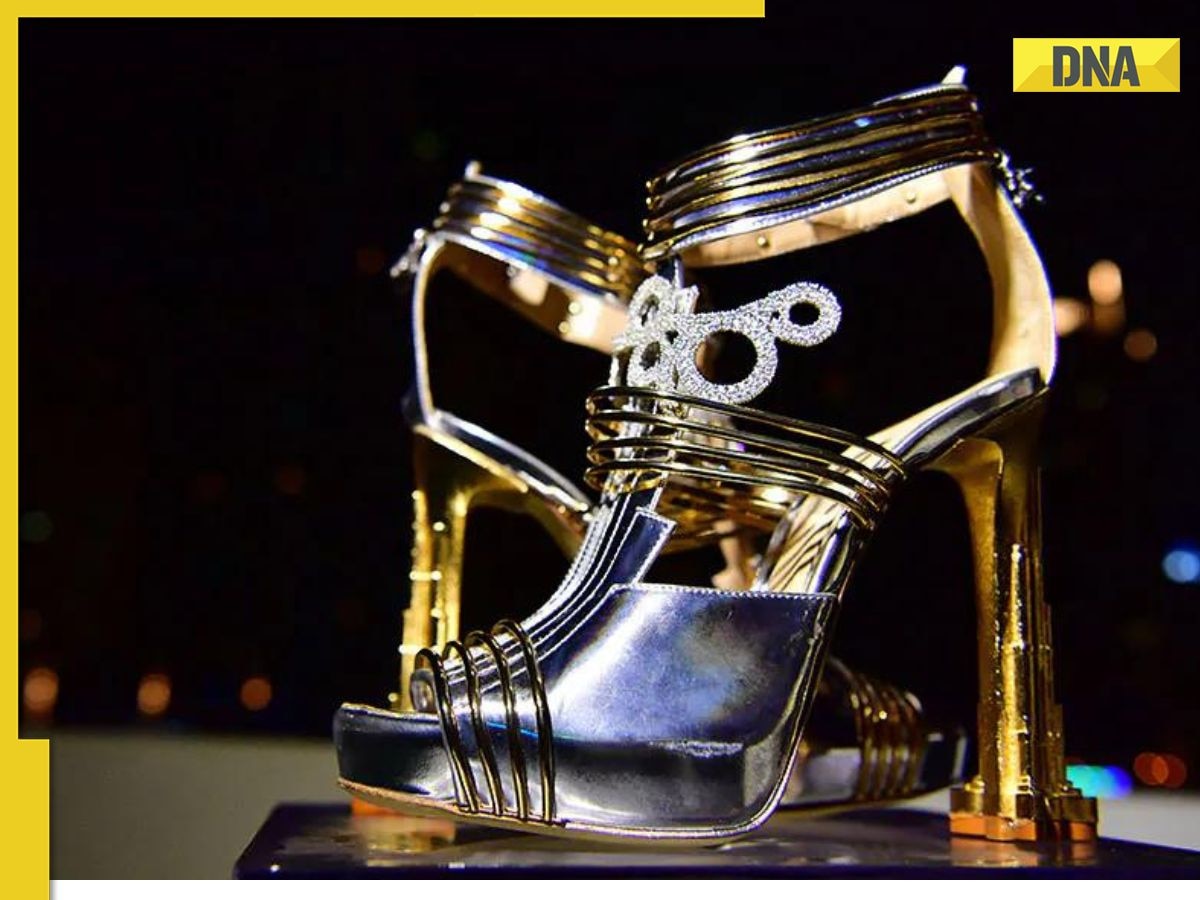 Illustrative example of moonstar shoes by antonio vietri