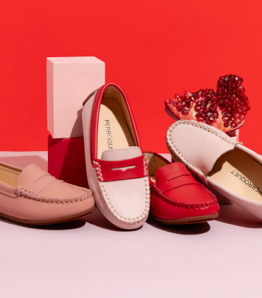 Illustrative example of perroquet shoes