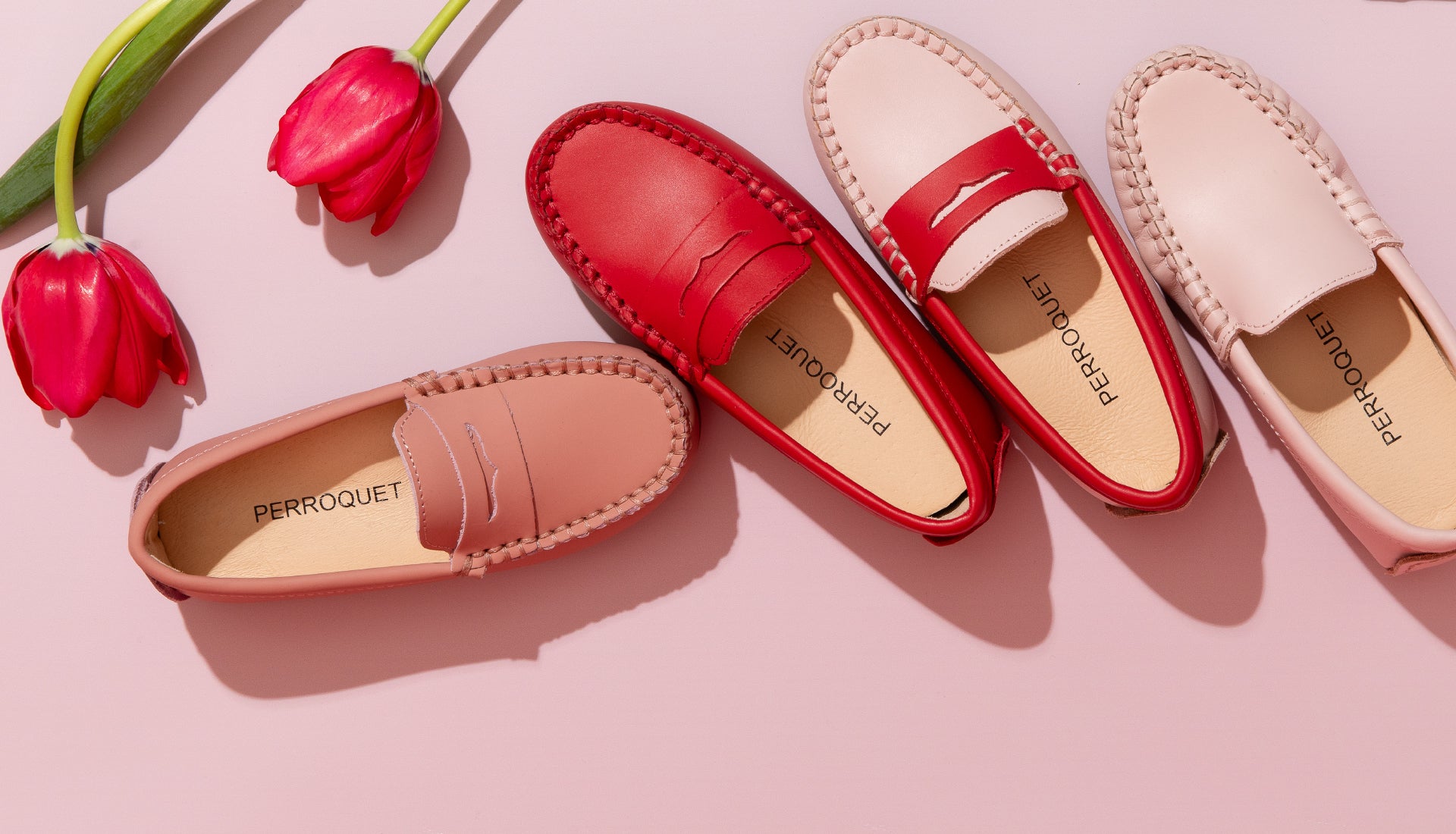 Illustrative example of perroquet shoes