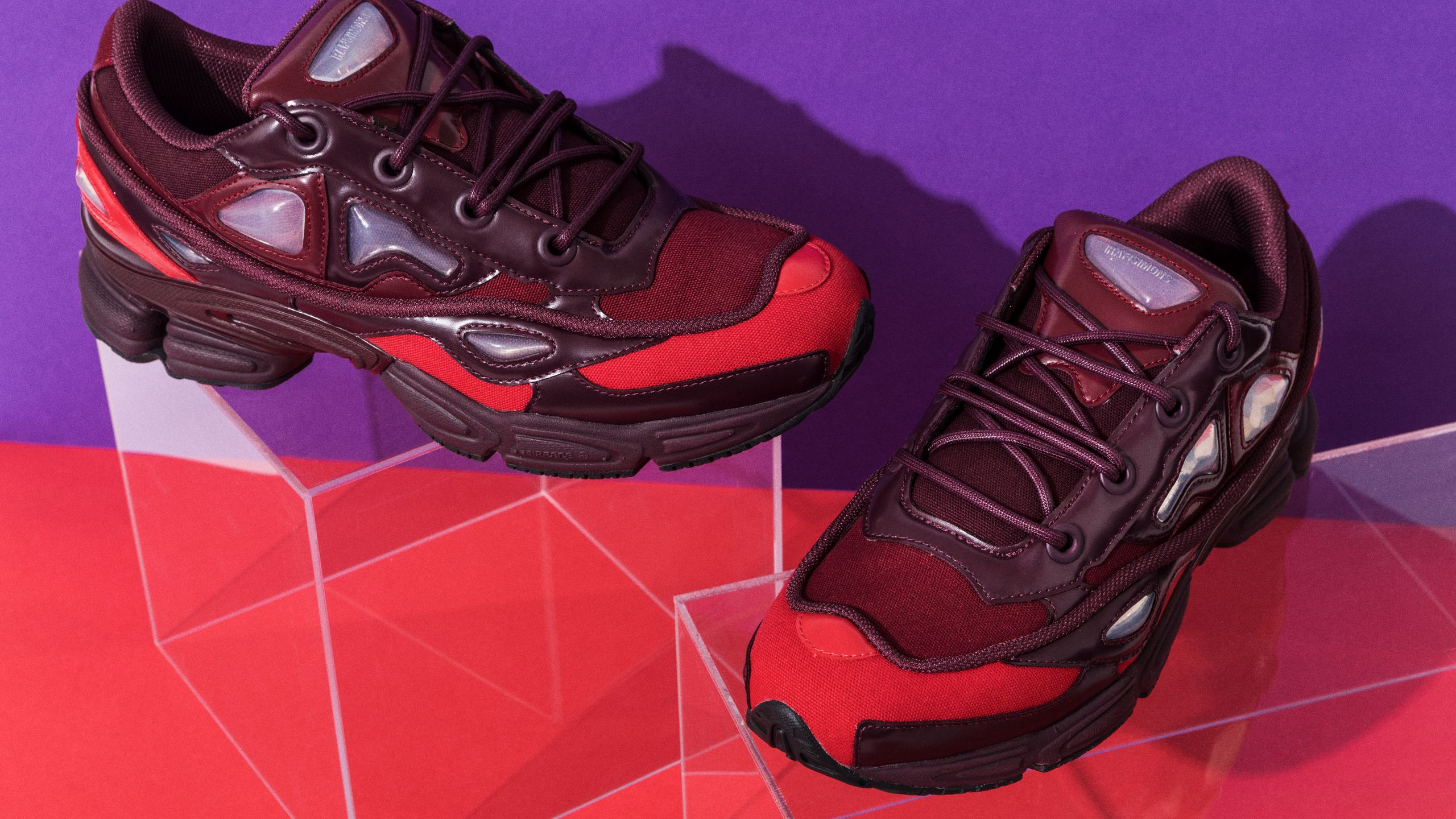 Illustrative example of raf simons shoes
