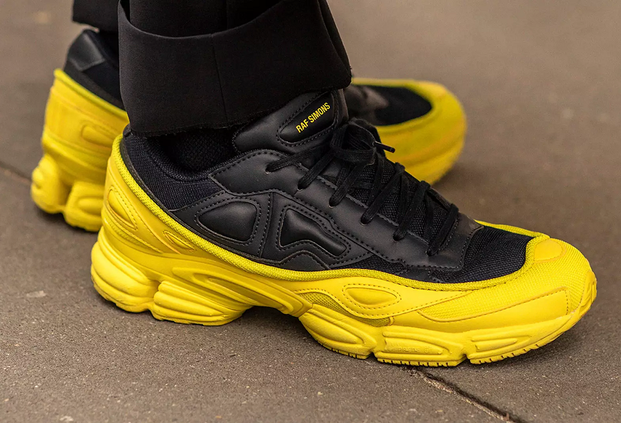 Illustrative example of raf simons shoes