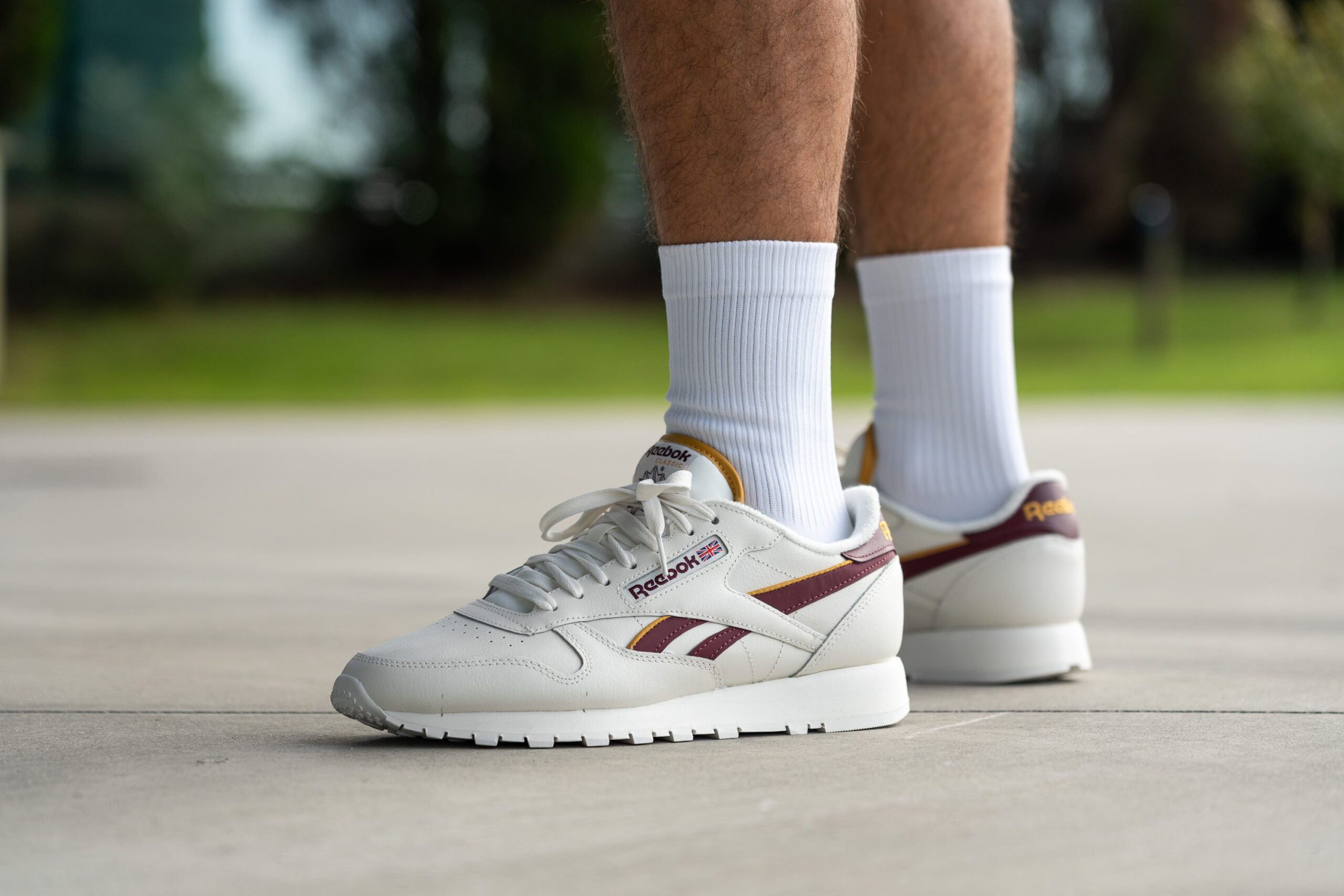 Illustrative example of reebok classic leather shoes