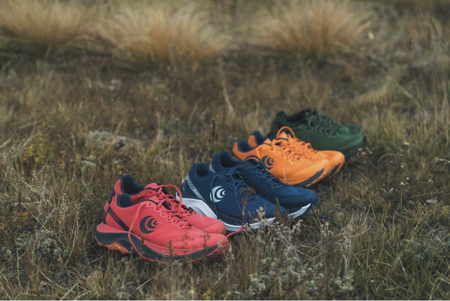 Illustrative example of topo shoes
