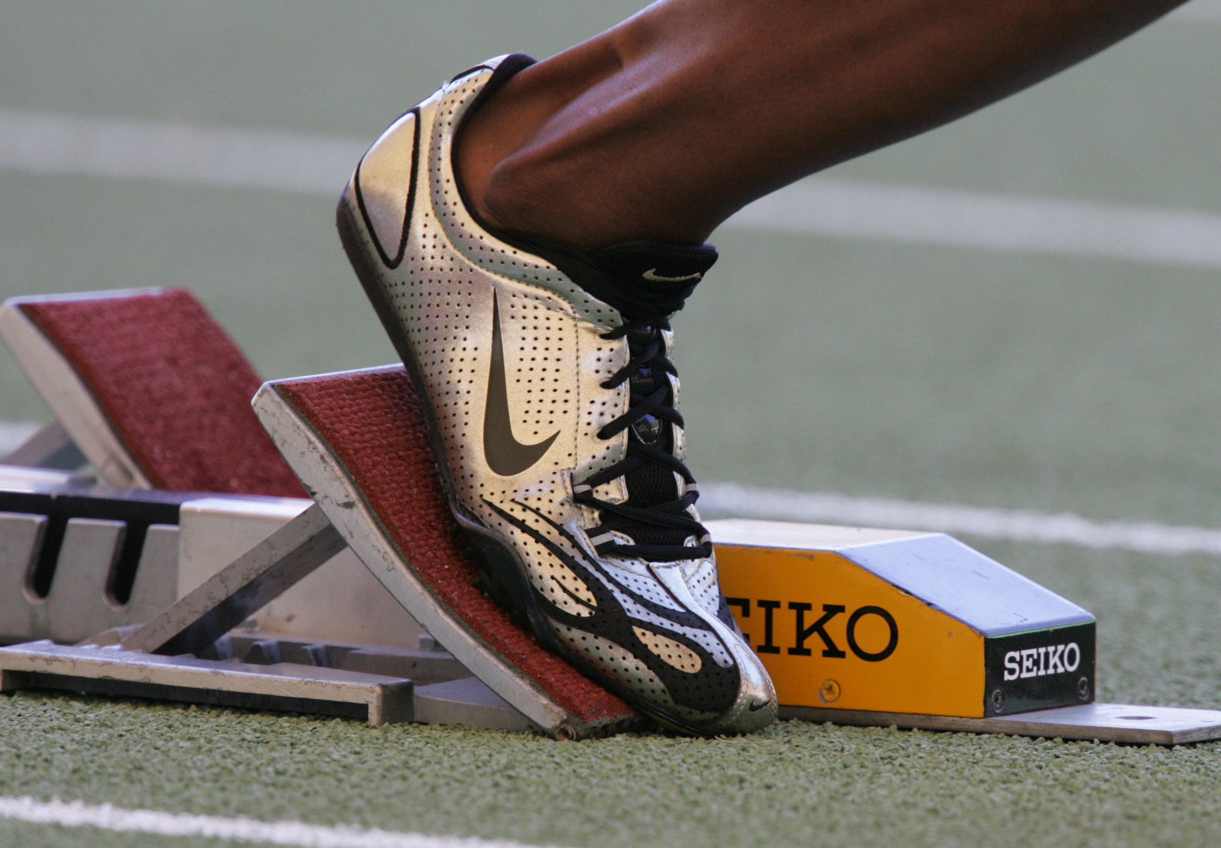 Illustrative example of track and shoes