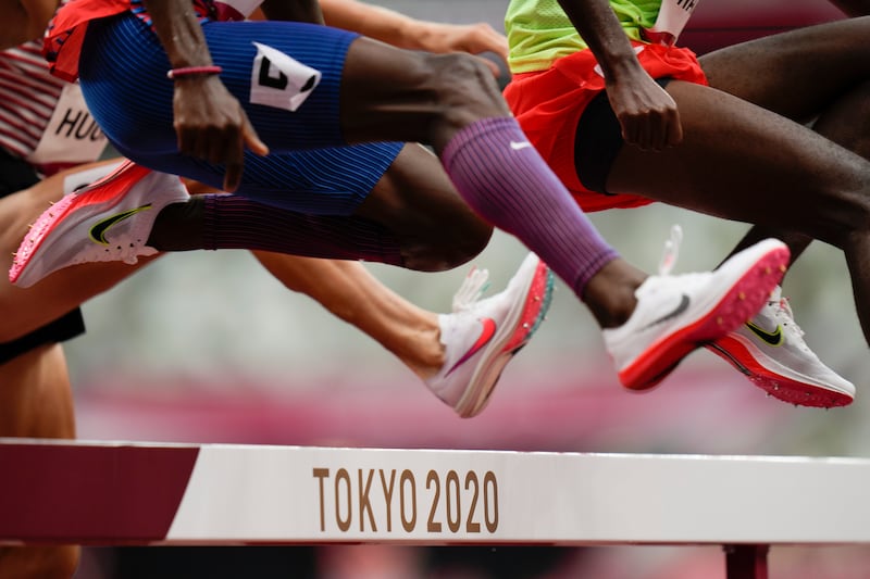 Illustrative example of track and shoes