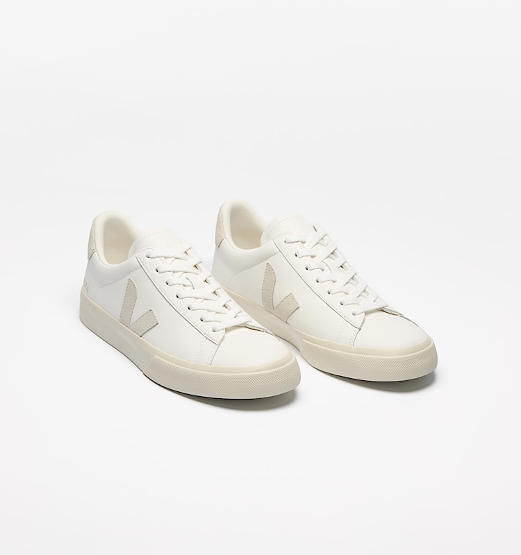 Illustrative example of v shoes