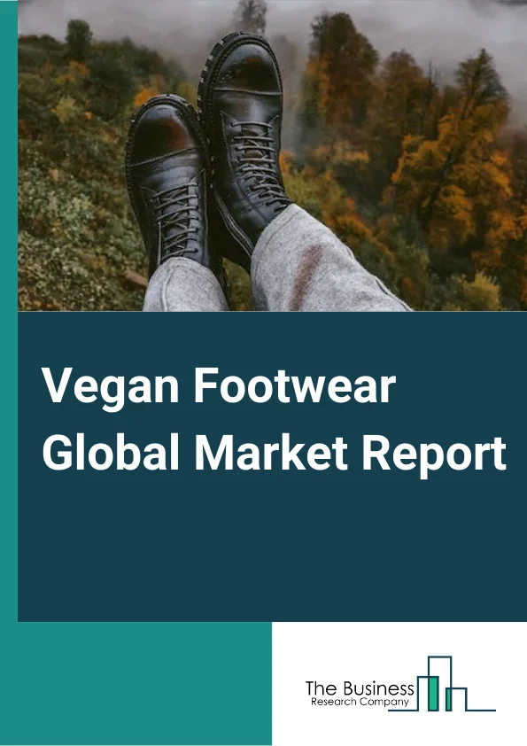 Illustrative example of vegan shoes