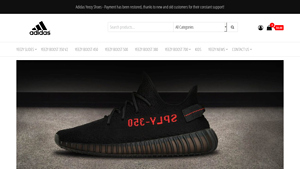 Adidas - Yeezy Boost 350 V2 Mono Ice
