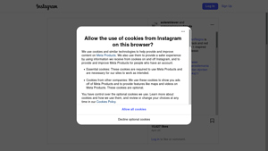 Instagram Scraping - Monthly Page Inquiry